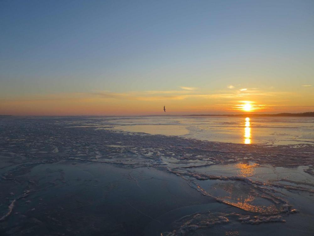 eis4.thumb.jpg.65993d3943878f5db134306ed