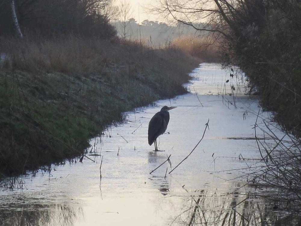 eis7.thumb.jpg.0b6e5ed14c9d9465b0b7410a4