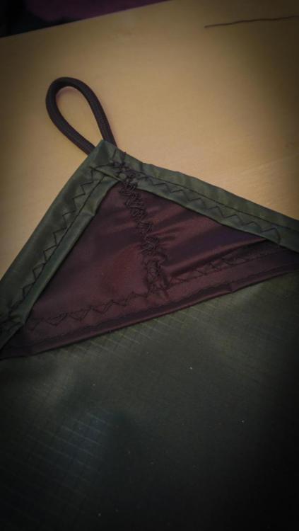 20160217_181737.thumb.jpg.e5cc793cc6316e