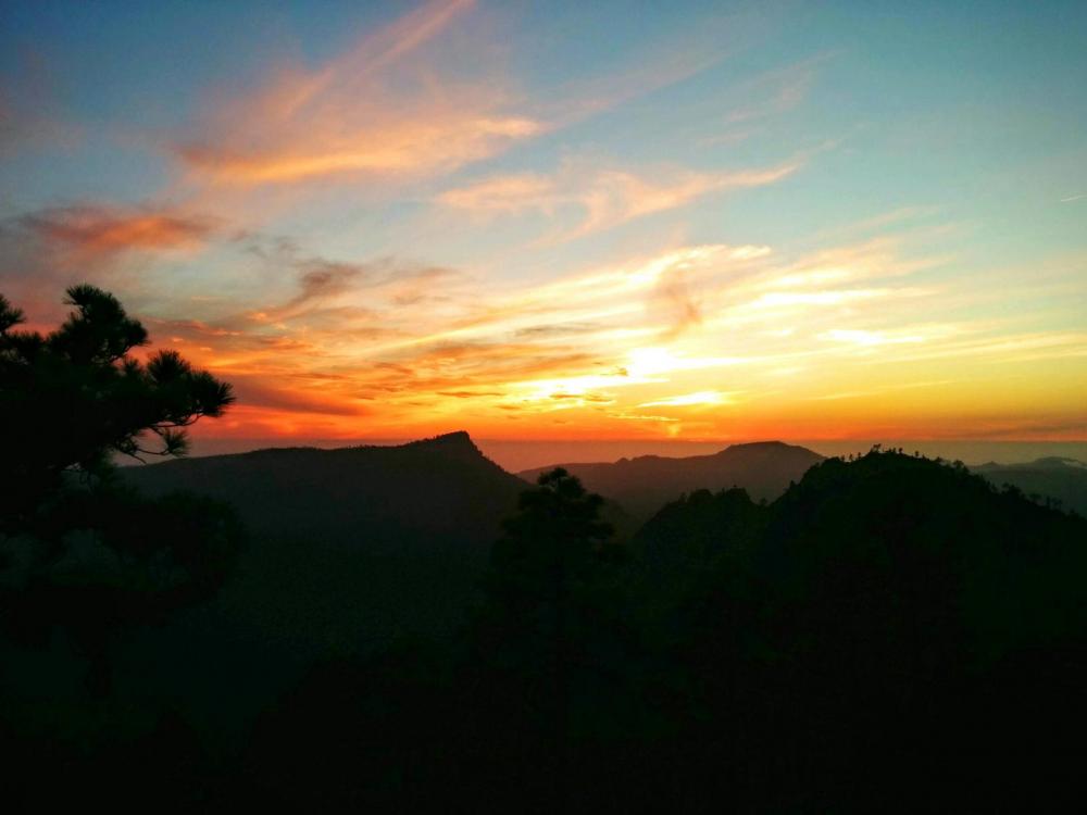 56ba54630624a_GranCanaria(15).thumb.jpg.