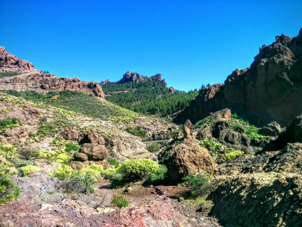 56ba554dcd42a_GranCanaria(22).thumb.jpg.