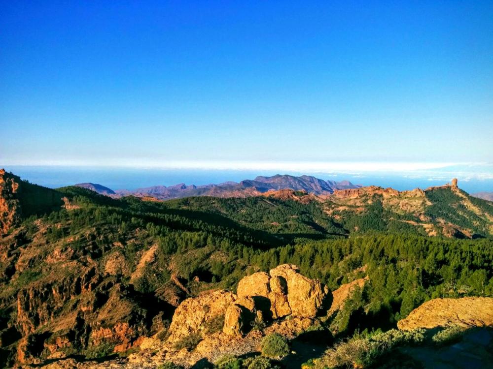 56ba567d10c83_GranCanaria(38).thumb.jpg.