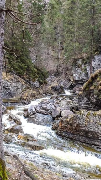 IMG_20160202_081945072.thumb.jpg.a7901c3