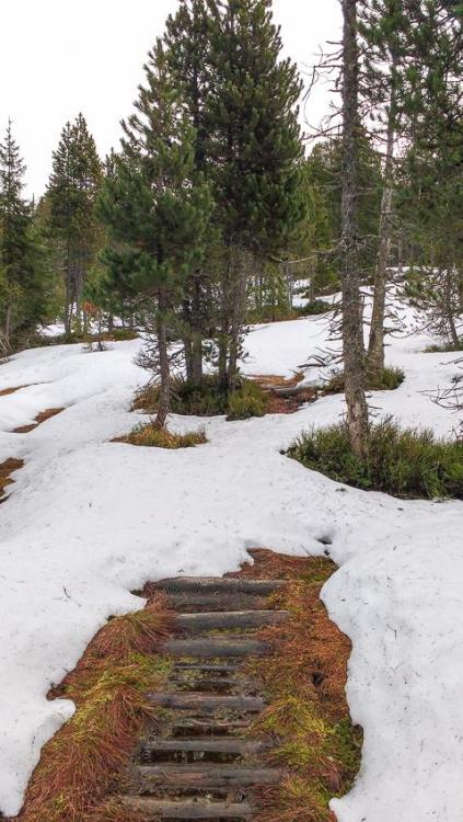 IMG_20160202_085727663.thumb.jpg.fcd5051