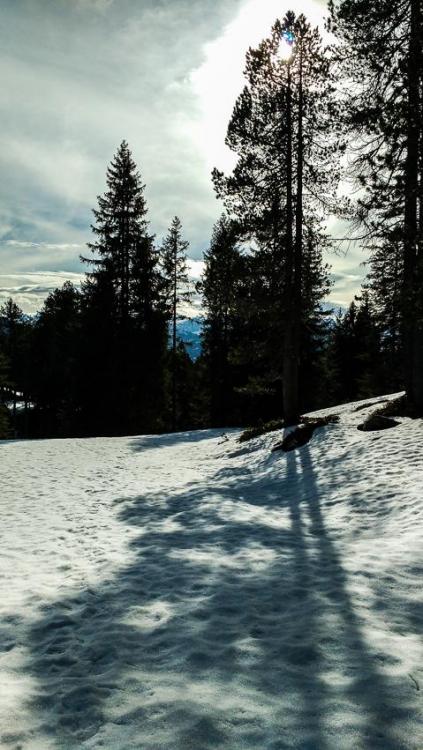 IMG_20160202_125843718.thumb.jpg.0ec7f46