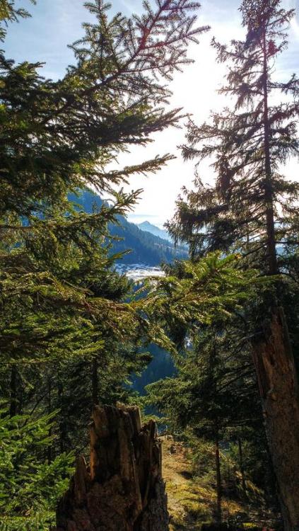 IMG_20160202_144345395.thumb.jpg.446221a