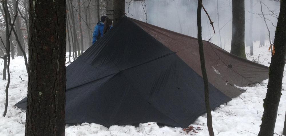 Untitled.thumb.jpg.a1a05665d8807668b2e2e