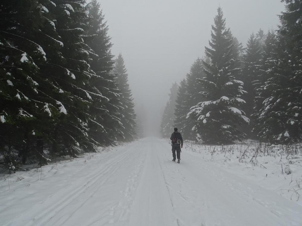 56f8e141ca6e6_DSC04564(Copy).thumb.jpg.e