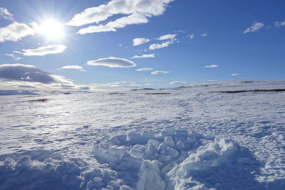 iglu0.thumb.jpg.bb1abb4598cb8f7567dc899a