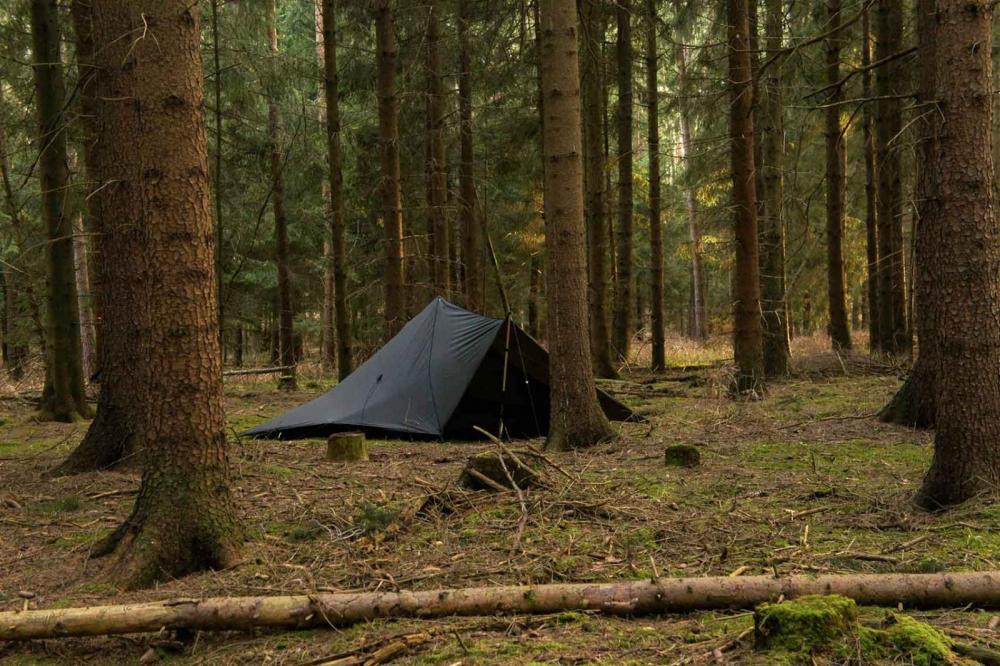 5700f44bc2607_salinoxlimwald.thumb.jpg.5