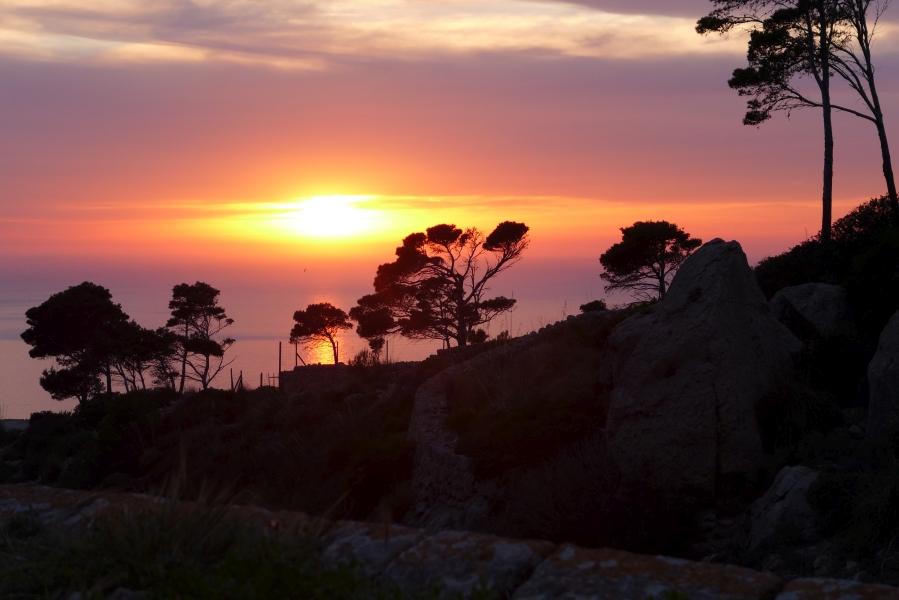 P1050347.jpg.1f36c9b2b1a5433dd53e279ea6b