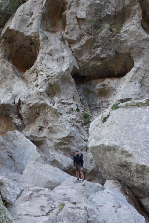 torrent3.thumb.jpg.76e66e9d5d23874e5422a