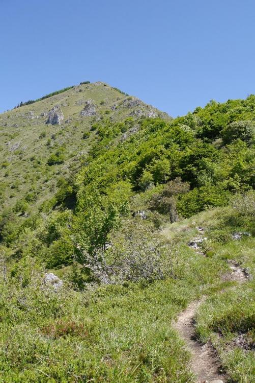 2016_La Marzola_001.JPG