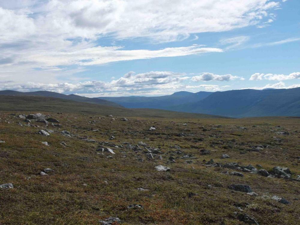 DSCF7065 Kopie 2.jpg