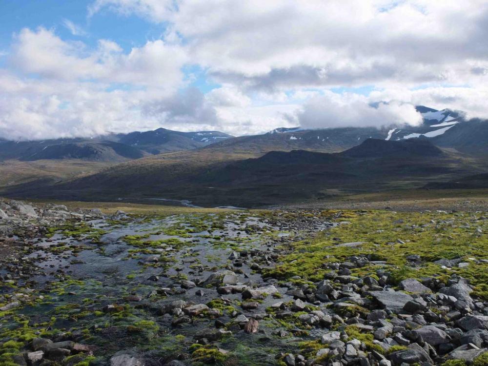 DSCF7117 Kopie 2.jpg