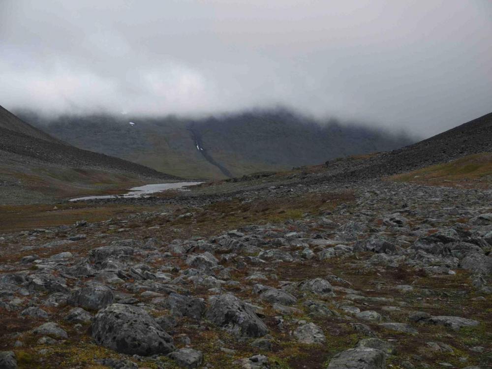 DSCF7137 Kopie 2.jpg