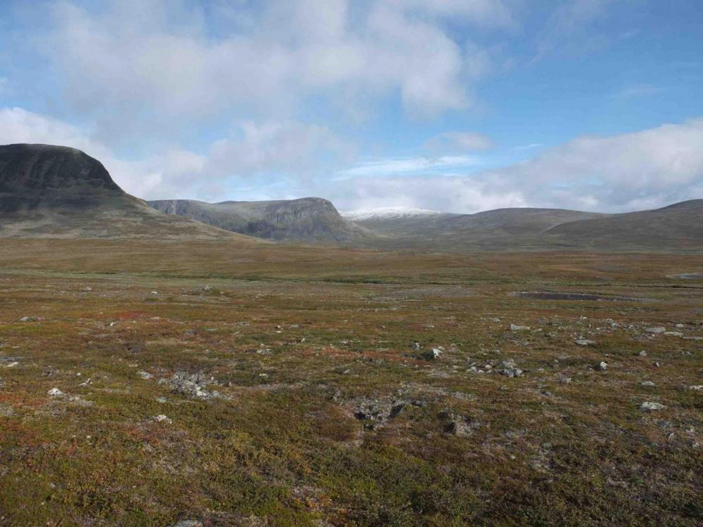 DSCF7199 Kopie 2.jpg