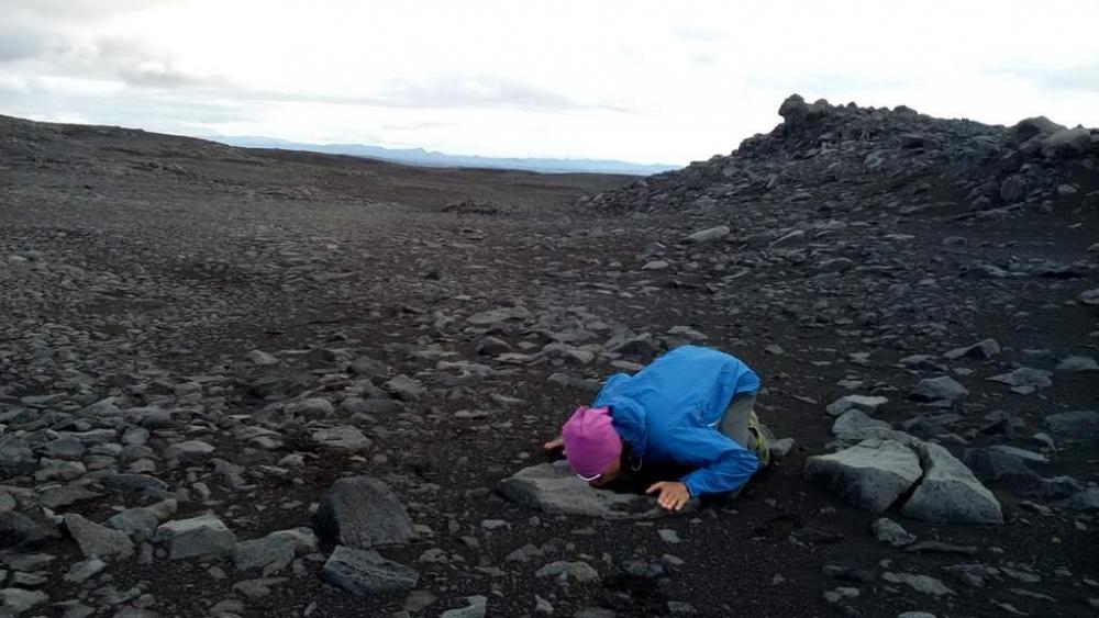 2016-09-07 11.28.30.jpg