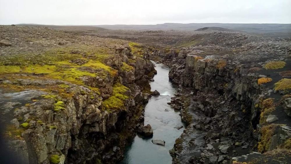 2016-09-11 14.43.50.jpg