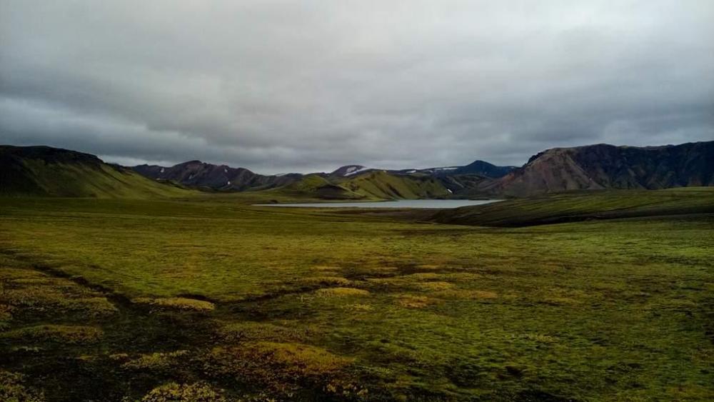 2016-09-12 16.19.17.jpg