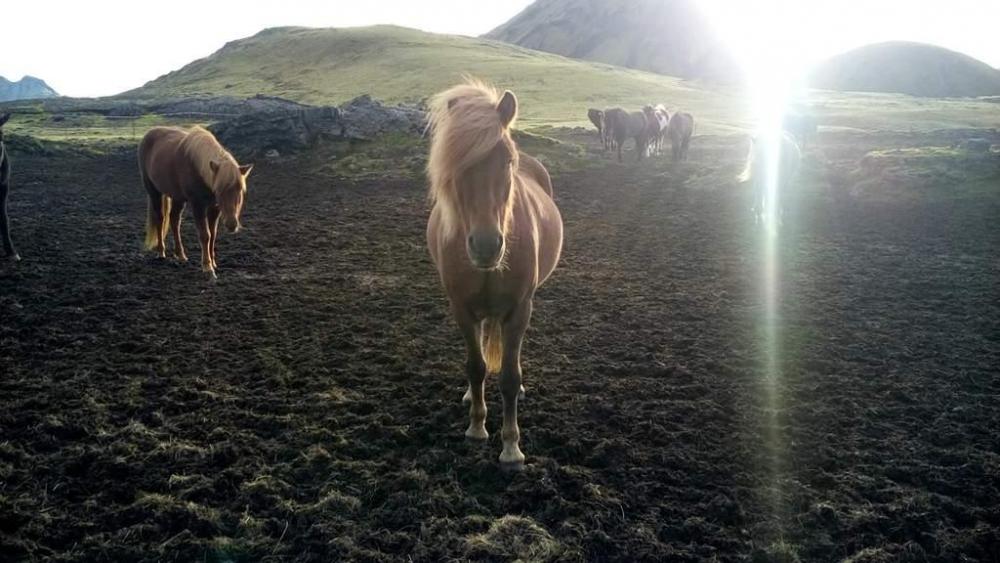 2016-09-13 18.31.14.jpg