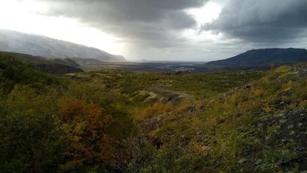 2016-09-14 14.52.14.jpg