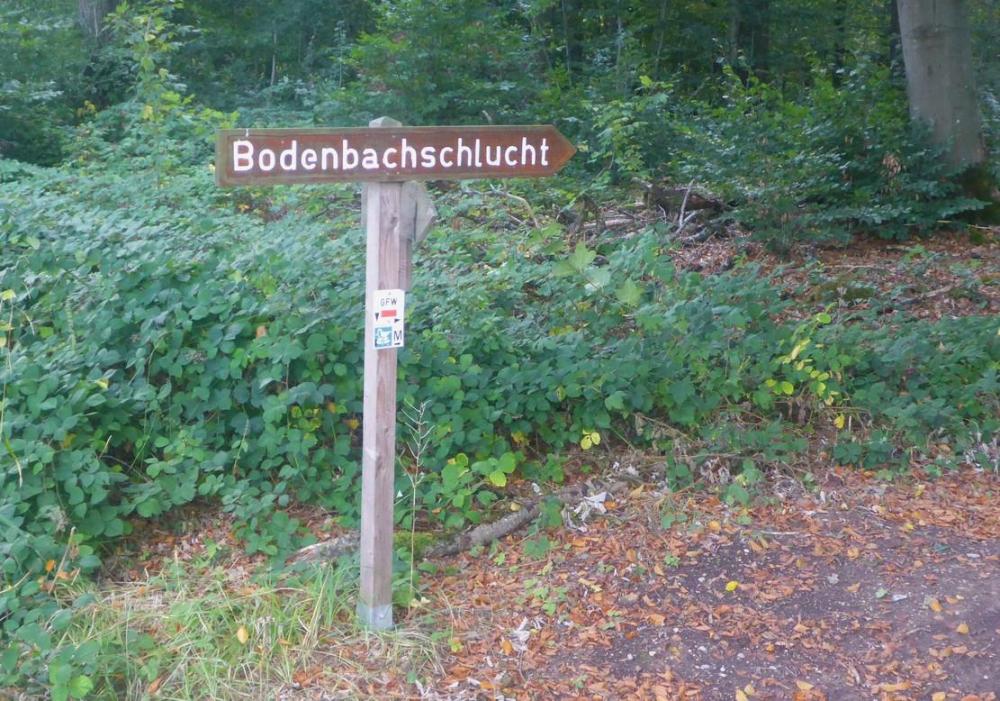 GFW_21_bodenbachschlucht.jpg