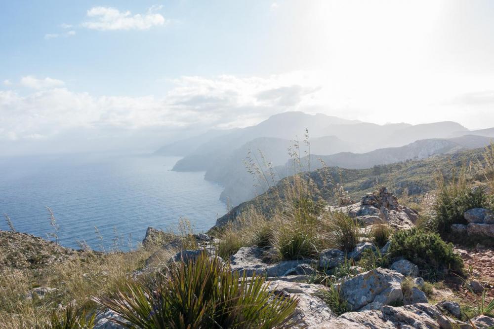 Mallorca 2016 32.jpg