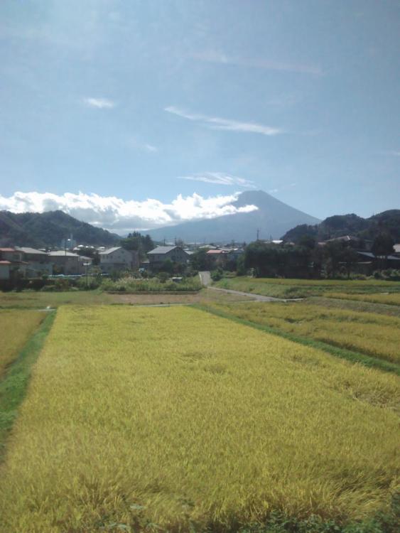 Fuji.jpg