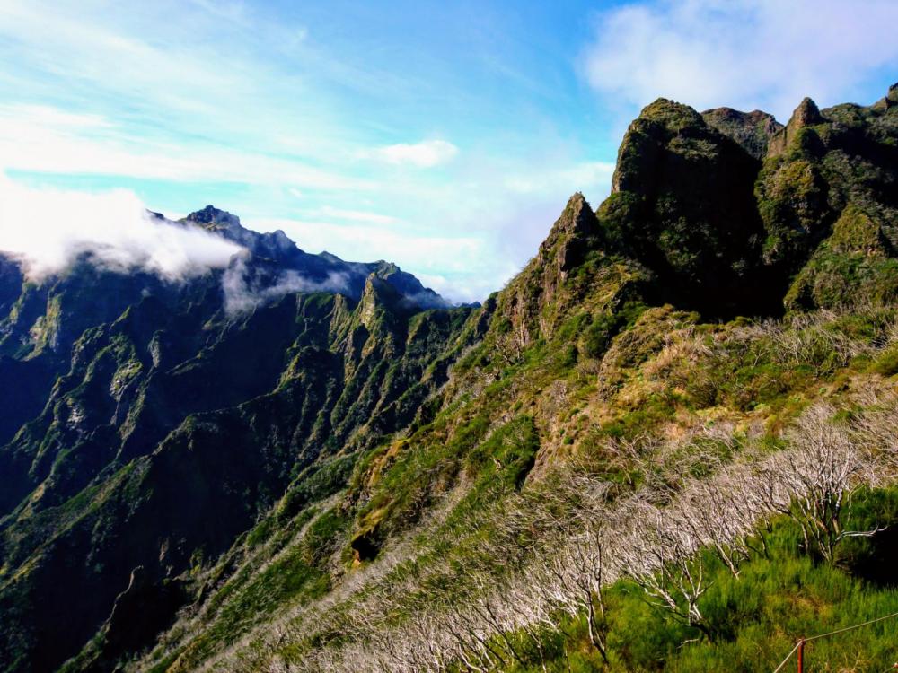 Madeira 2018 (63).jpg