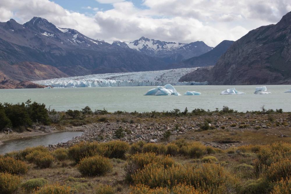 Lago Viedma.jpg
