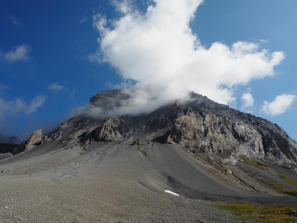 Favorites - 4 von 4.jpg