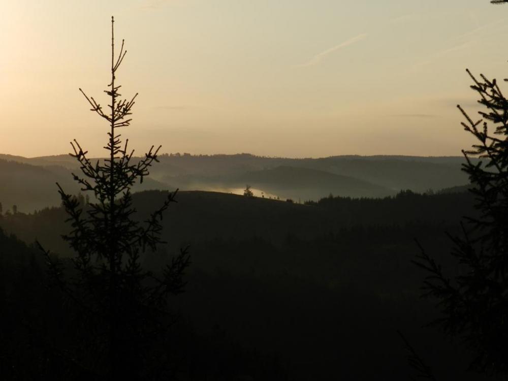 talbergsattel, 2020-9 (17).JPG