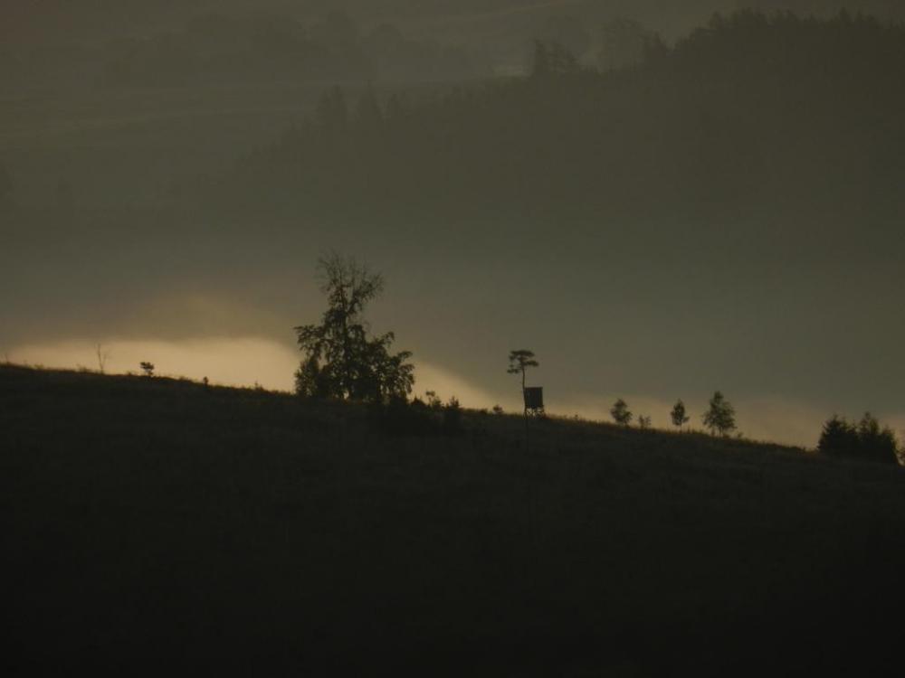 talbergsattel, 2020-9 (20).JPG