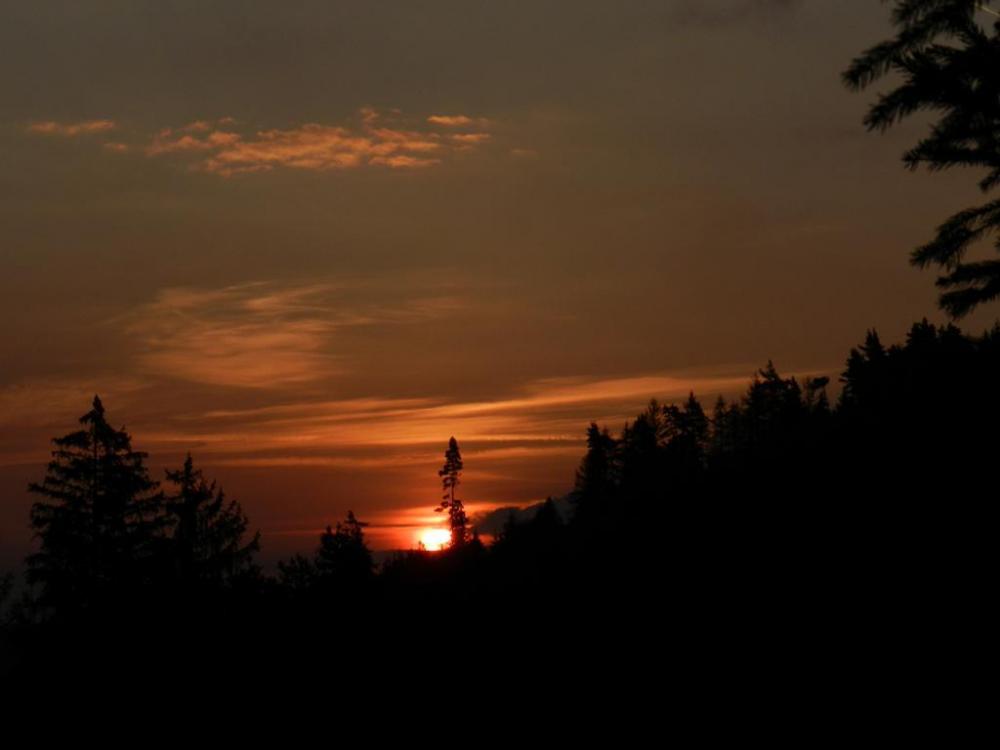 talbergsattel, 2020-9 (5).JPG