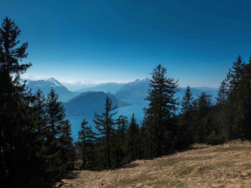 Rigi-2.thumb.jpg.1c9b62e64723159fcfd2ec7251b217df.jpg