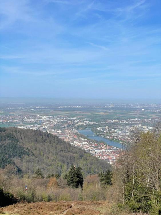 Aussicht vom Königsstuhl