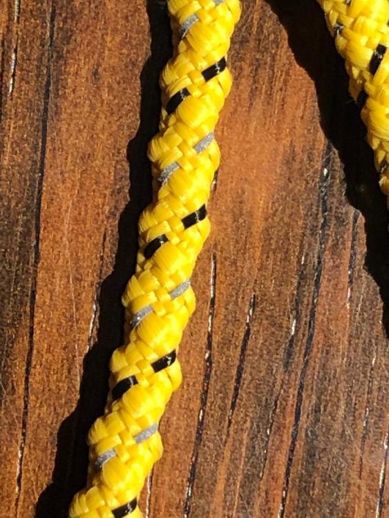 Lanshan1 Pro Guyline b.jpg