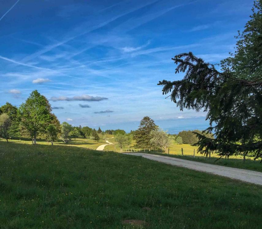 Jura Höhenweg-2.jpg