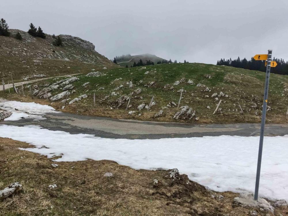 Jura Höhenweg-6.jpg