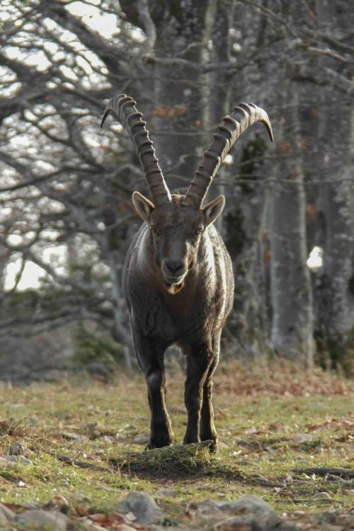 Jura Höhenweg-4.jpg