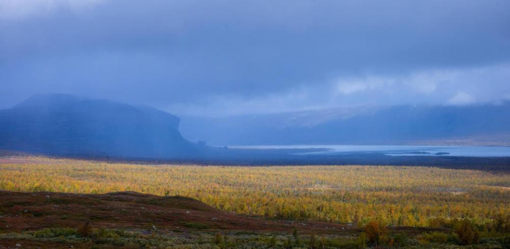 Regen – © Jacob Muth / www.dermuthige.de