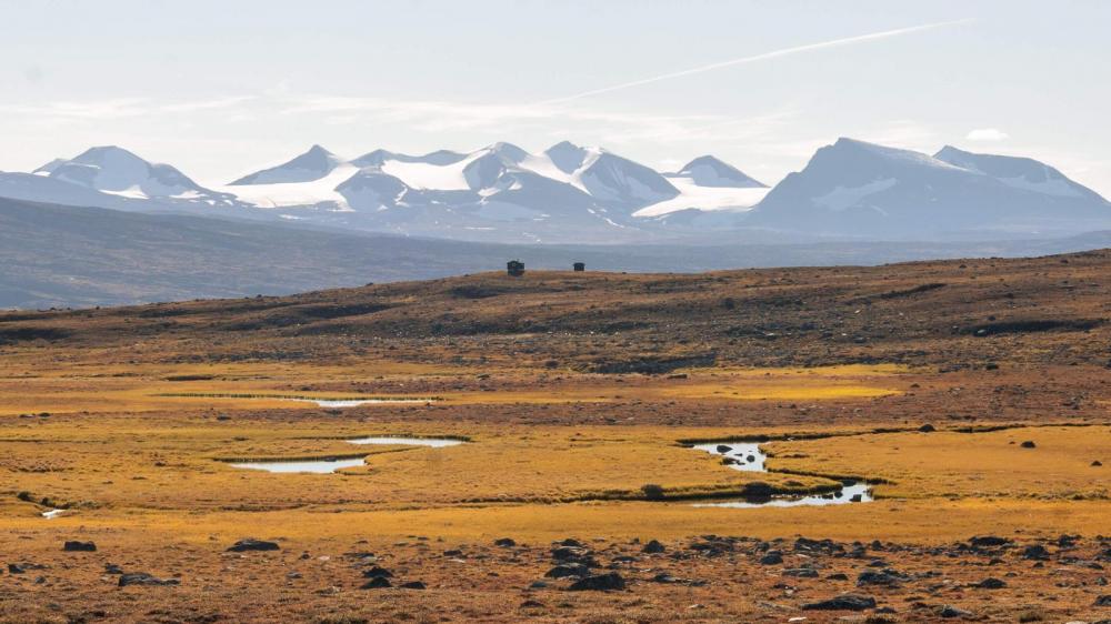 Blick – © Jacob Muth / www.dermuthige.de