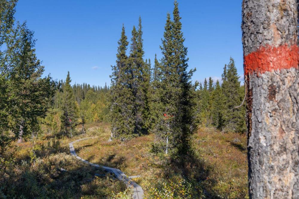 © Jacob Muth / www.dermuthige.de