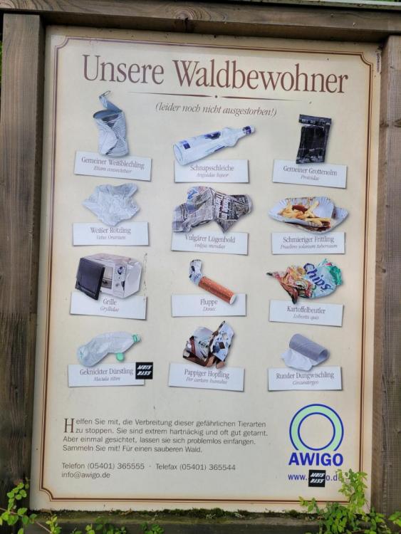 Waldbewohner.jpg