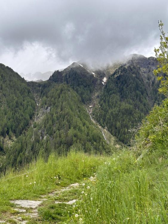 Kopie von IMG_7142.jpg