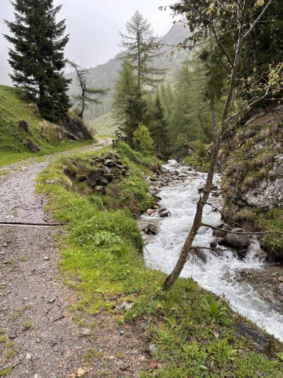 Kopie von IMG_7157.jpg