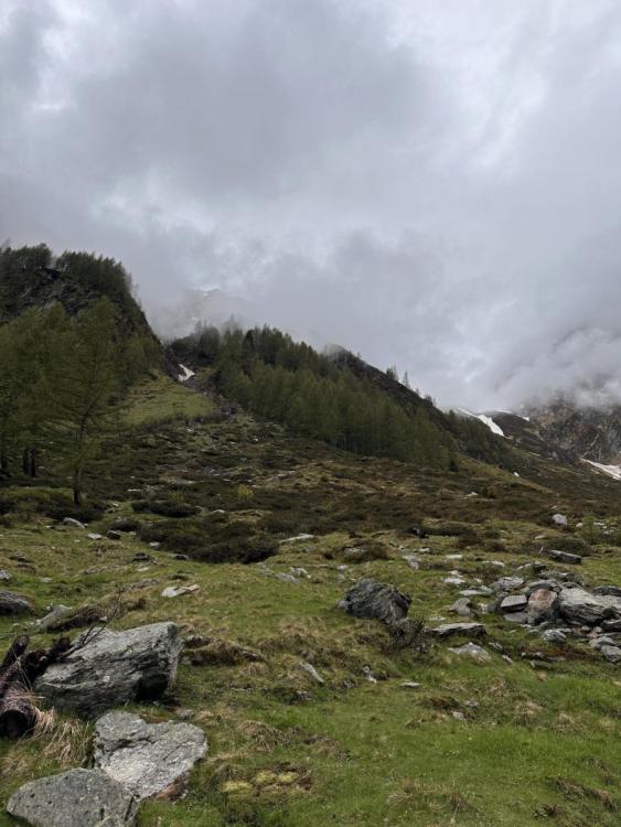 Kopie von IMG_7169.jpg