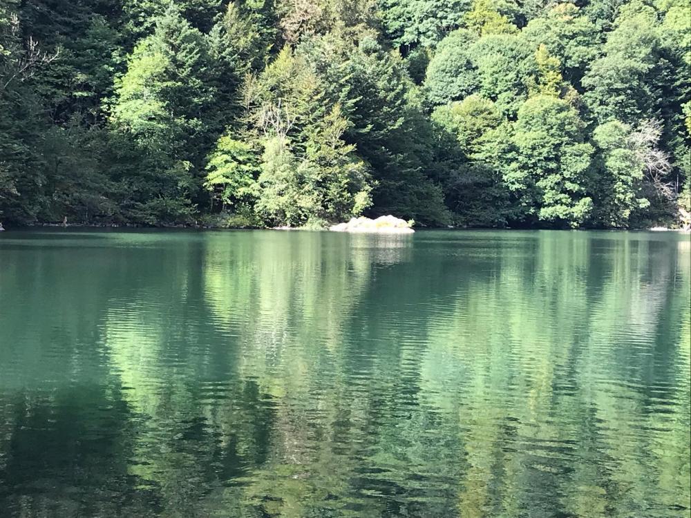 WhatsApp Image 2024-09-22 at 19.49.42 (13).jpeg