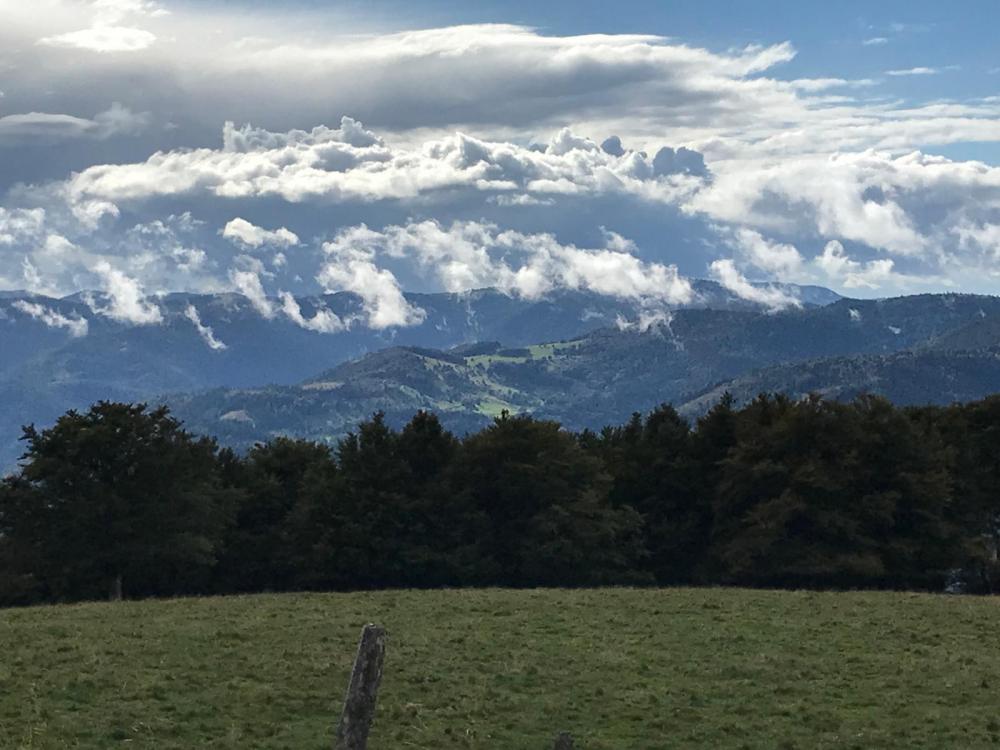 WhatsApp Image 2024-09-22 at 19.49.42 (17).jpeg